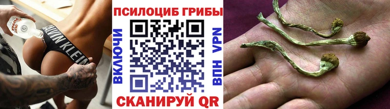 mega ТОР  закладка  Хабаровск  Псилоцибиновые грибы GOLDEN TEACHER 